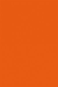 ЛИСТ FOM 2ММ ОДНОТОННЫЙ EVA-008 42Х62СМ ОРАНЖЕВЫЙ 1964