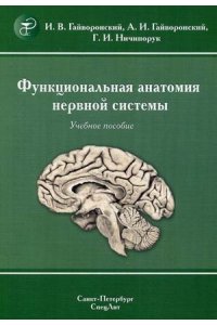 Функциональная анатомия нервной системы