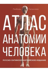 Палычева Любовь Атлас анатомии человека. Русско-латинско-английское издание