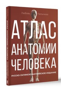 Палычева Любовь Атлас анатомии человека. Русско-латинско-английское издание