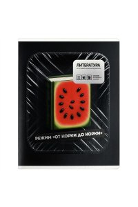 ТЕТР ПРЕДМЕТ ФРАЗЫ С ХАРАКТЕРОМ ЛИТЕРАТУРА 48 ЛИН ФЕНИКС+ 73072