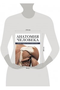 Анатомия человека