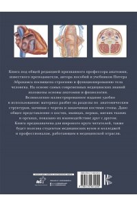 Анатомия человека