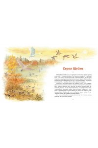 Мамин-Сибиряк Д. Серая шейка. Рассказы