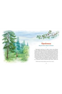 Мамин-Сибиряк Д. Серая шейка. Рассказы