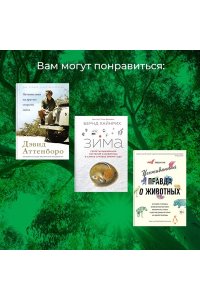 Клод Д. Хюгге от коал. Жизнь среди деревьев