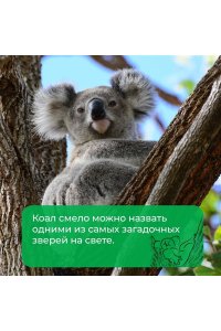 Клод Д. Хюгге от коал. Жизнь среди деревьев