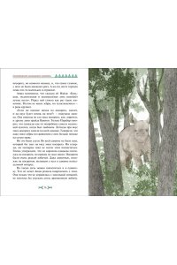 Ли Х. Приключения маленького носорога