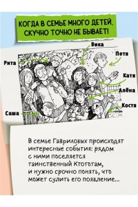 Емец Д.А. Таинственный Ктототам (#3) (ил. А. Крысова)