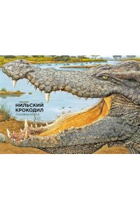 Хааг Х. Животные Африки в натуральную величину
