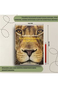Хааг Х. Животные Африки в натуральную величину