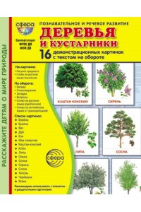 Цветкова Т.В. Дем. картинки СУПЕР Деревья и кустарники. 16 демонстрационных картинок с текстом В ПАПКЕ (173х220 мм
