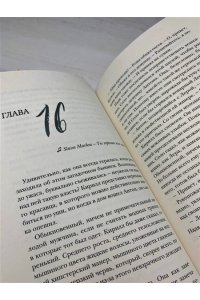 Сокол Л. Пожар