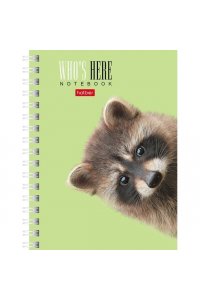 ЗАПИСН КН 80Л А6 ХАТБЕР СПИРАЛЬ КТО ЗДЕСЬ? В АСС 80ЗК6В1ГР (6607)