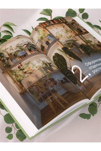 Анна Гиниятуллина Эстетика живого интерьера. Как создать стильное пространство с помощью комнатных растений