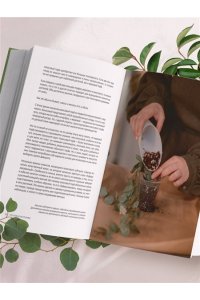 Анна Гиниятуллина Эстетика живого интерьера. Как создать стильное пространство с помощью комнатных растений