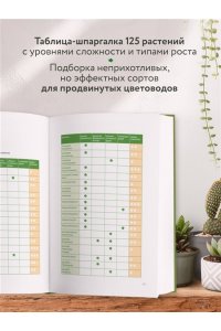 Анна Гиниятуллина Эстетика живого интерьера. Как создать стильное пространство с помощью комнатных растений