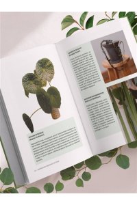 Анна Гиниятуллина Эстетика живого интерьера. Как создать стильное пространство с помощью комнатных растений