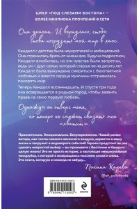 Мисник Т. В сердце Бостона. Демоны внутри нас (Под слезами Бостона #3)