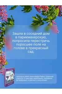 Райн Александр Хорошие новости. О чувствах нараспашку, любовных бутербродах и урагане с косичками