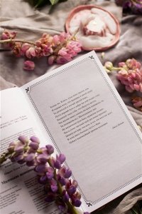 Луиза Мэй Олкотт Маленькие женщины. Вечные истории