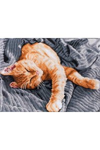 КРИСТАЛЬНАЯ МОЗАИКА 40*30СМ С ПОДРАМ УТРЕННЯЯ НЕЖНОСТЬ