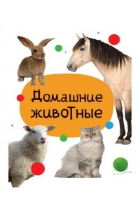 ЦК МИНИ. ДОМАШНИЕ ЖИВОТНЫЕ