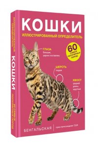Смирнов Д.С., Спектор А.А. Кошки. 60 самых популярных пород. Иллюстрированный определитель