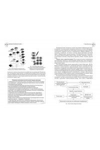 Лисов Н.Д. Биология. Справочник для подготовки к ЕГЭ, олимпиадам и поступлению в вуз