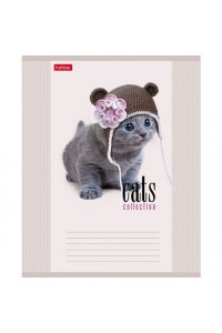 ТЕТР 12 КЛЕТ ХАТБЕР КОТОТЕРАПИЯ В АСС АРТ.12Т5В1 (4746)