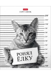 ТЕТР 96 КЛЕТ ХАТБЕР КОТ-ОБОРМОТ В АСС 96Т5В1 (3349)