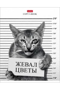 ТЕТР 96 КЛЕТ ХАТБЕР КОТ-ОБОРМОТ В АСС 96Т5В1 (3349)