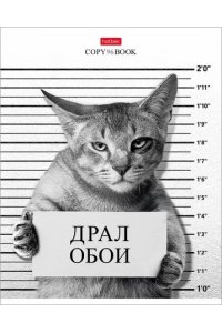 ТЕТР 96 КЛЕТ ХАТБЕР КОТ-ОБОРМОТ В АСС 96Т5В1 (3349)