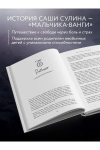 Сулина Е.Н. Саша видит. История мальчика, который видит будущее