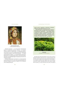Баркова А. Зачарованный сад. Майское дерево, цветок папоротника и другие легенды о растениях