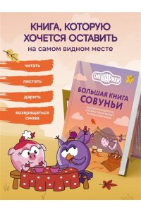 Большая книга Совуньи. Житейские мудрости, которых так не хватает во взрослой жизни
