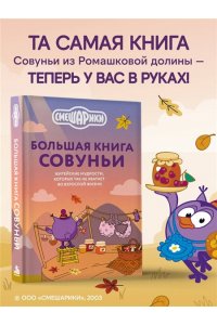 Большая книга Совуньи. Житейские мудрости, которых так не хватает во взрослой жизни