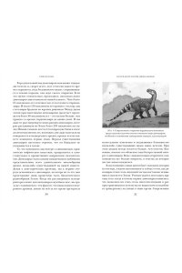 Блэк Р. Перья, кровь и миллионы лет: Полная история динозавров
