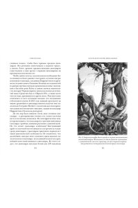 Блэк Р. Перья, кровь и миллионы лет: Полная история динозавров