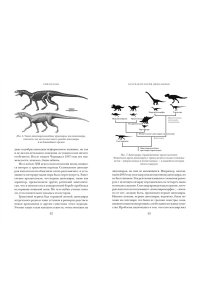 Блэк Р. Перья, кровь и миллионы лет: Полная история динозавров