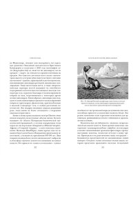 Блэк Р. Перья, кровь и миллионы лет: Полная история динозавров