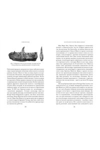 Блэк Р. Перья, кровь и миллионы лет: Полная история динозавров