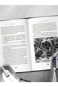 Сонхо Ю. Встретимся после вашей смерти. Профессор судебной медицины о том, как мы умираем