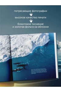 Лаптевский В. Арктика. История освоения Русского Севера