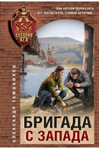 Тамоников А.А. Бригада с запада (pocket)