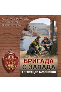 Тамоников А.А. Бригада с запада (pocket)