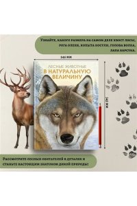 Хааг Х. Лесные животные в натуральную величину