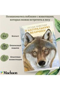 Хааг Х. Лесные животные в натуральную величину