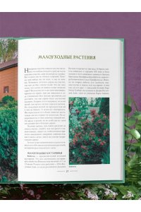 Селезнева Т.А. Секреты малоуходного сада. Как создать дизайн участка с неприхотливыми декоративными растениями