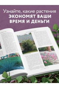 Селезнева Т.А. Секреты малоуходного сада. Как создать дизайн участка с неприхотливыми декоративными растениями